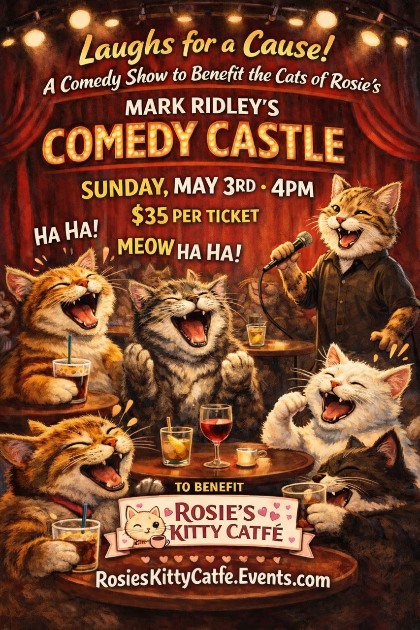 ROSIE’S KITTY CATFE